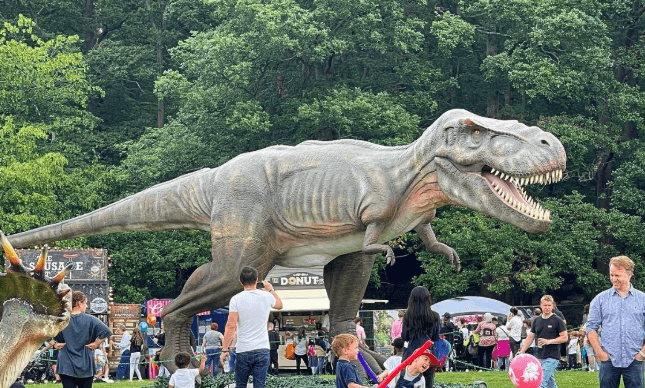 Family-Friendly Fun for All Ages